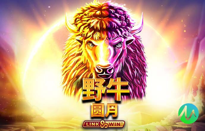 澳门4949图库免费资料大全